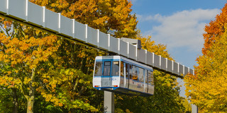 H-Bahn und Bäume mit bunten Blättern im Herbst